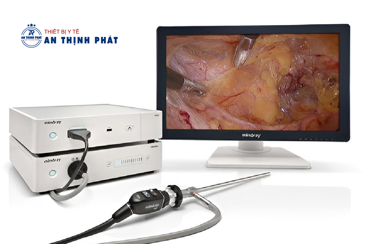 Cấu tạo máy nội soi tai mũi họng - Hệ thống lưu trữ và ghi hình (Recording and Storage System)